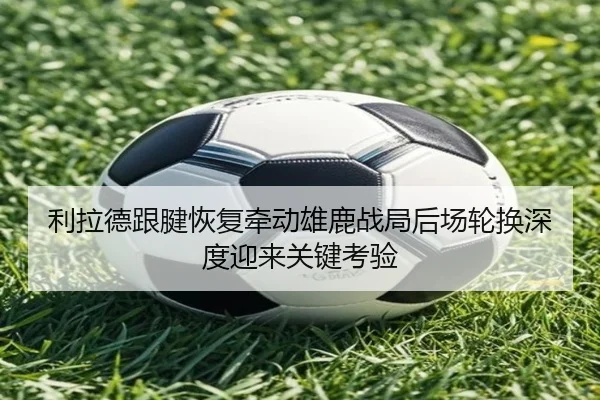 利拉德跟腱恢复牵动雄鹿战局后场轮换深度迎来关键考验